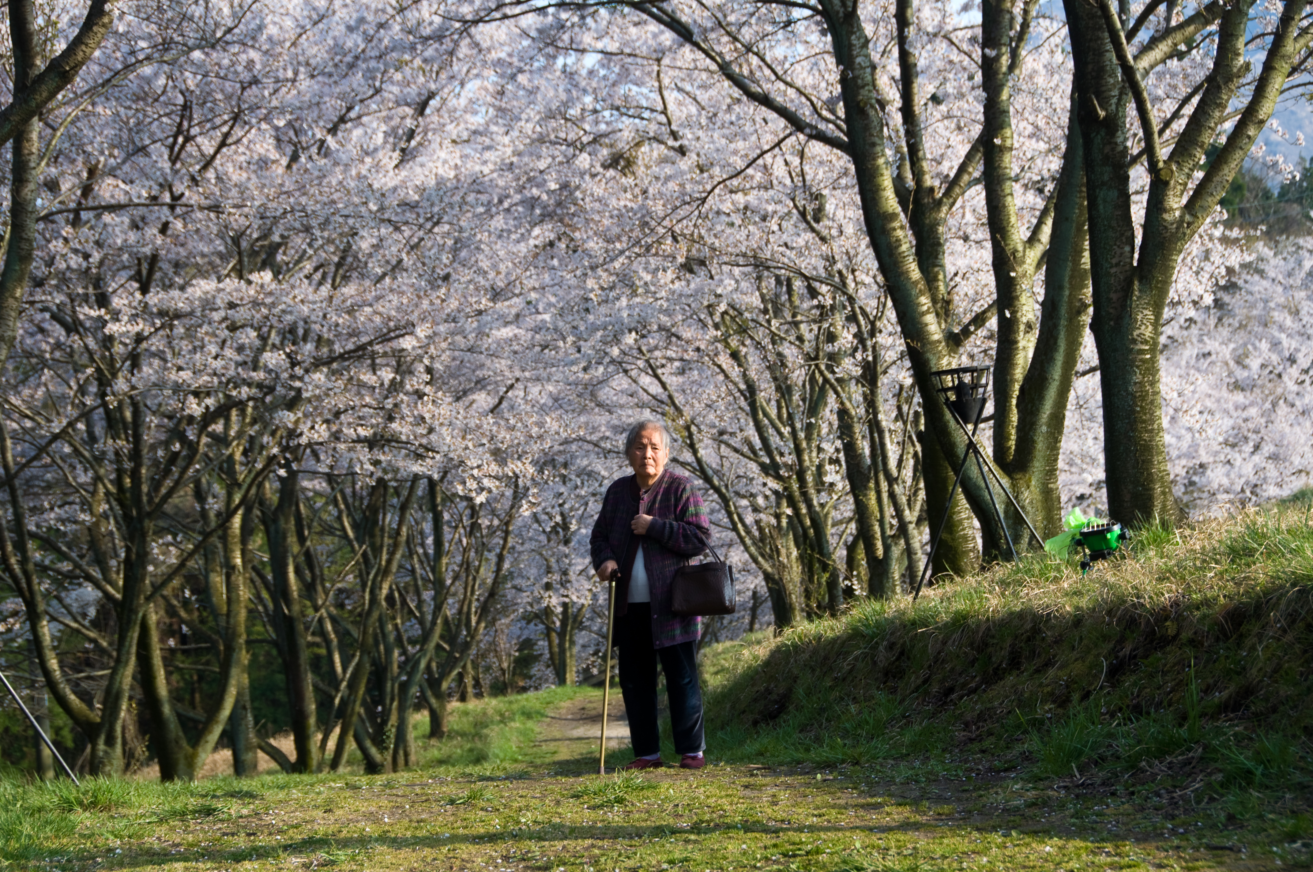 and the spring goes on...