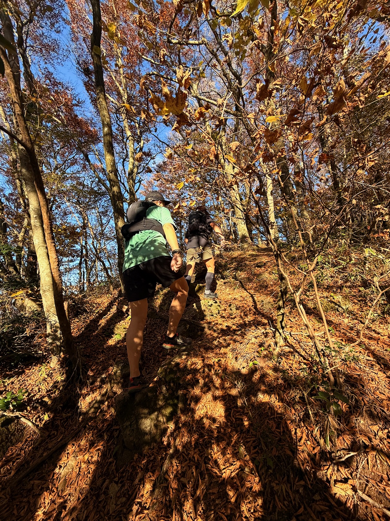 インターネットトレラン