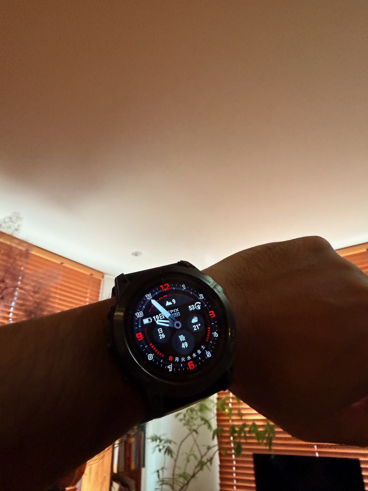 Garmin Epix Pro