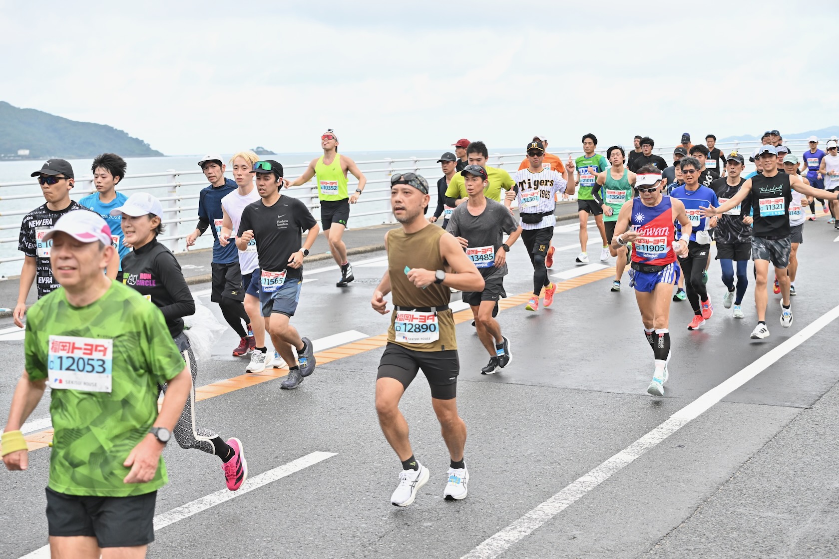 家の近所、長垂山の下あたり